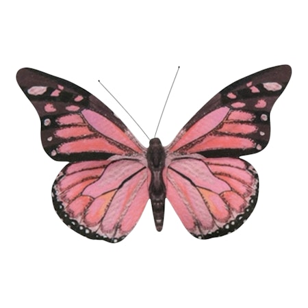 Fjäril clip Rose 10x7 cm