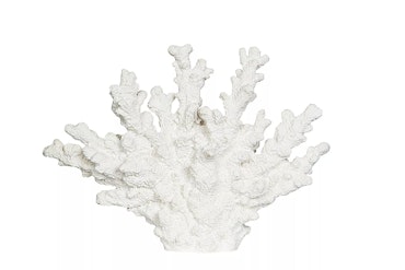 Korall Poly Vit 26x6x18,5cm