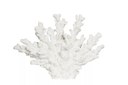 Korall Poly Vit 26x6x18,5cm