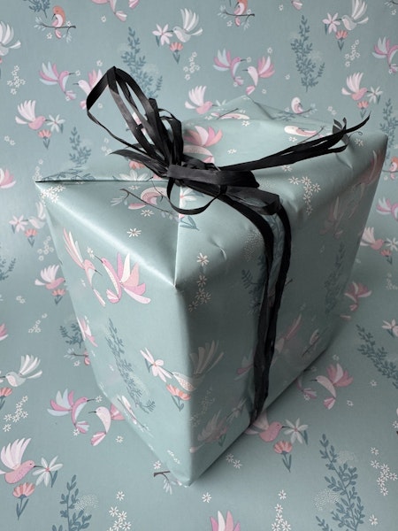 Presentpapper Hummingbird