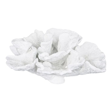Korall Bred Vit Poly 34x27x16cm