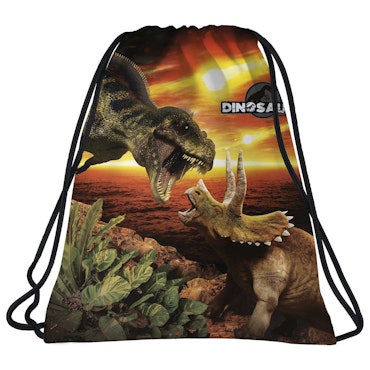 Gympapåse med Dinosaurier