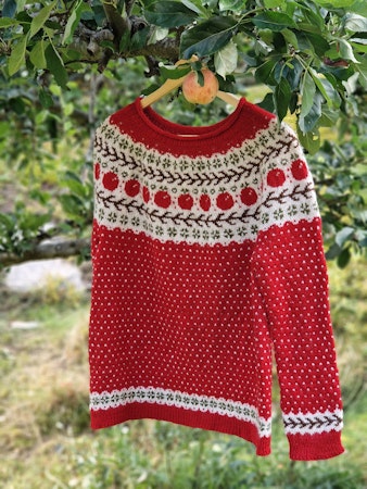 Ingrid Marie sweater
