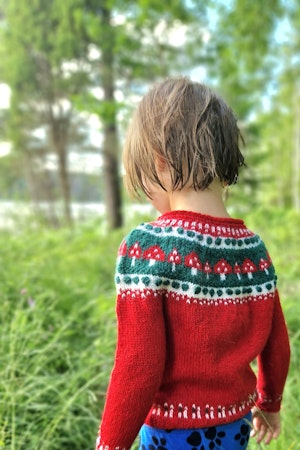 Höstskog sweater (child)