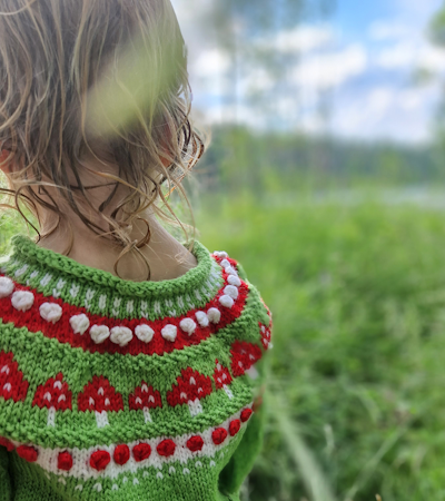 Höstskog sweater (child)