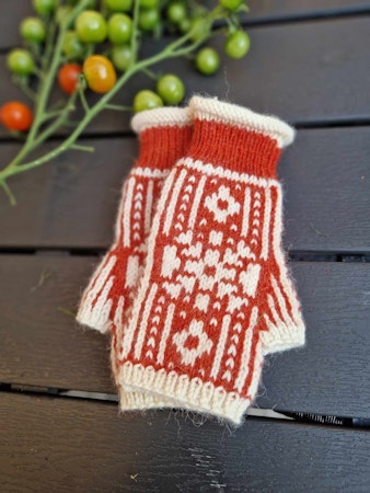 Window mitts