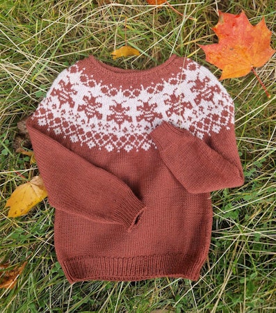 My little beeloved sweater (child)