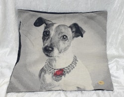 Kuddfodral Jack Russel