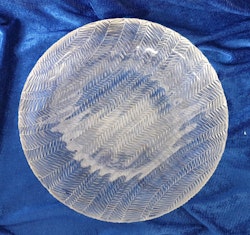 Arcoroc tallrikar 5 st o 20.5 cm