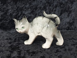 Grårandig katt med krökt rygg