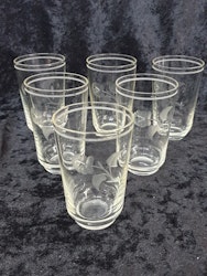Seltersglas tunna 6 st med slipade blommor