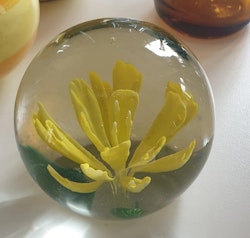 Brevpress retro i glas gul blomma