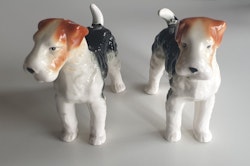 2st foxterrier Airedale obs! klistrade svansar