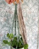 Makrameampel i tre färger, vit, beige och grön (eukalyptus). Handgjorda amplar för krukor med diametern 15 cm.