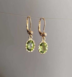 Guldörhängen med ovala peridoter