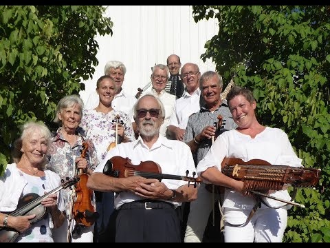 Musikgruppen Plankton