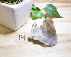 Rökkvarts kluster nr 19