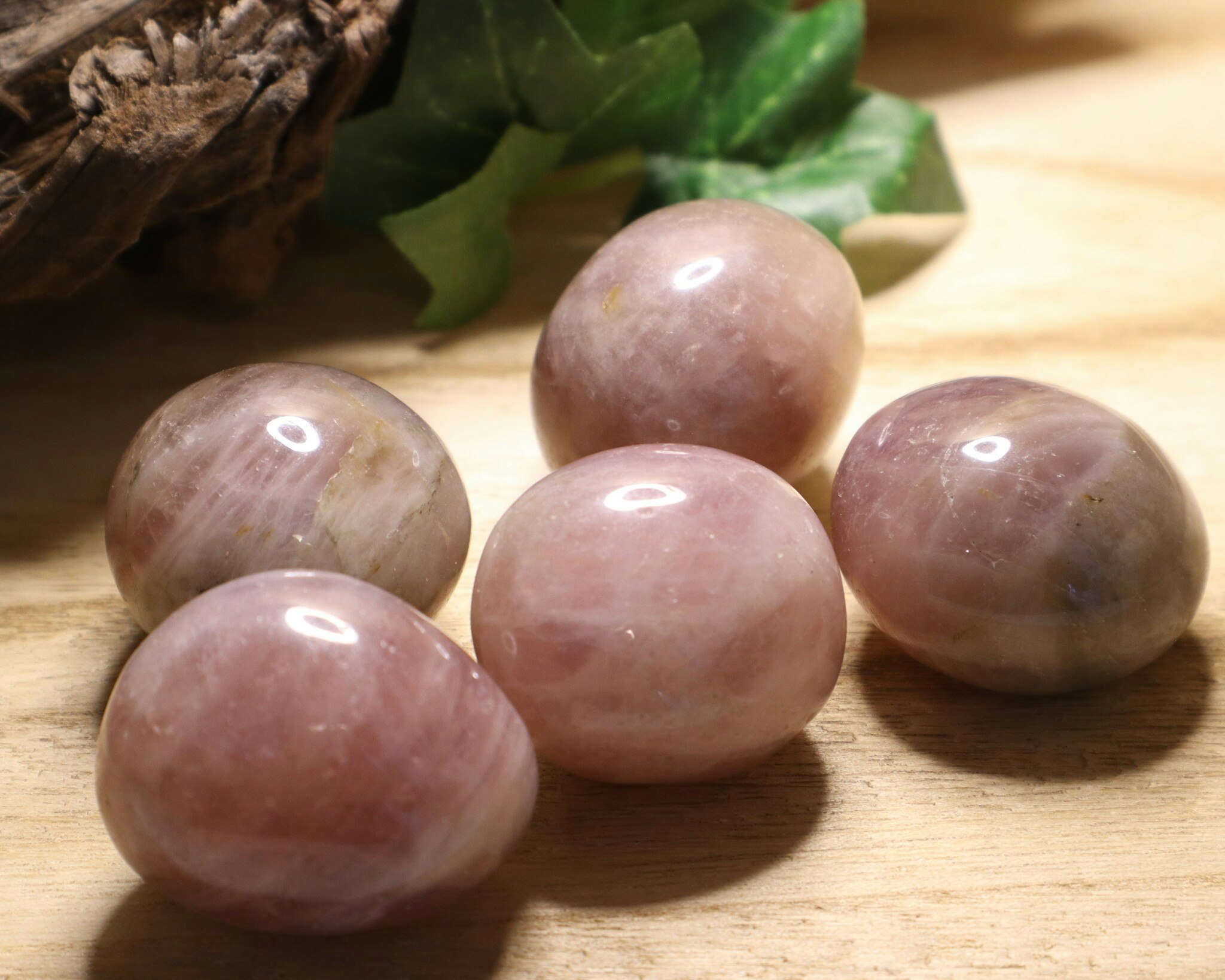 Rosa Ametist