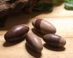Shiva Lingam