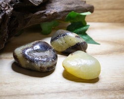 Septarian (Drakägg)