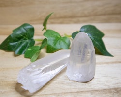 Lemurian spetsar