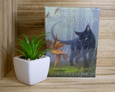 Fantasy cats oracle
