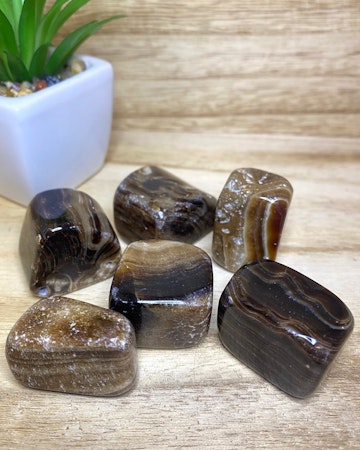 Chokladkalcit