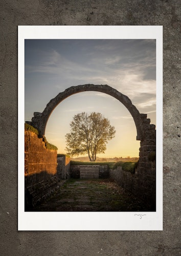 Livets hjul, fotoprint