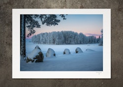 Vindsval är vinterns fader, professionell fotoprint