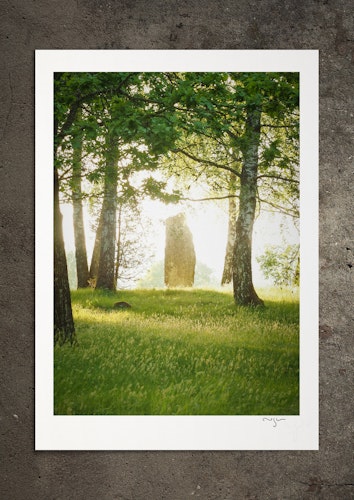 Gudagrönska, fotoprint