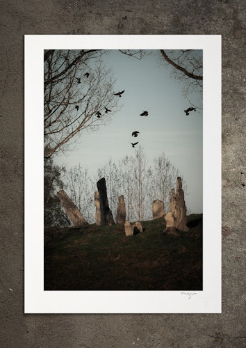 Frisjälar, fotoprint