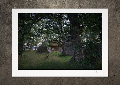 Det fördolda, fotoprint