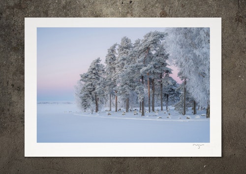 Stillheten, fotoprint