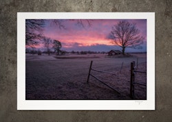 Återbruk, fotoprint