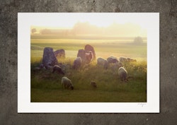 Den enes död ... , fotoprint