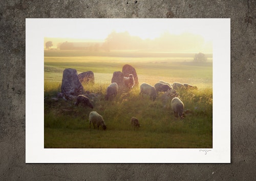 Den enes död ... , fotoprint