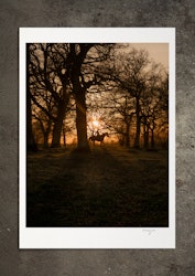 Ryttaren, fotoprint