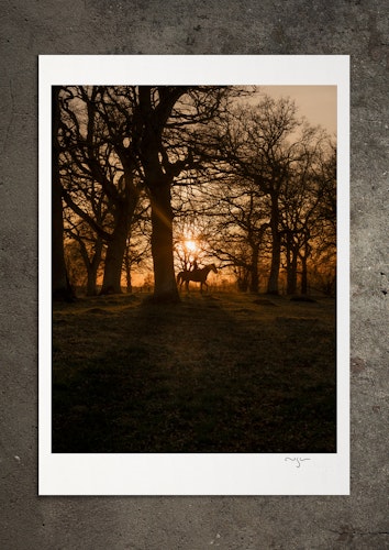 Ryttaren, fotoprint