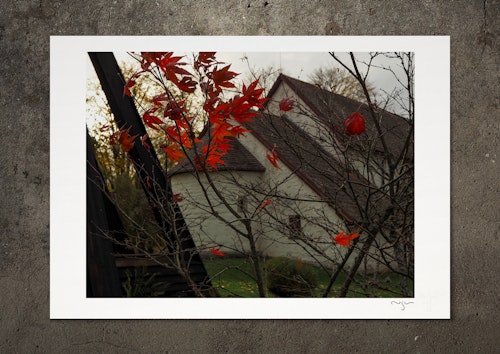 Nya tider, fotoprint