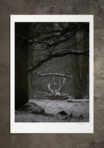 Vintern, den stora, fotoprint
