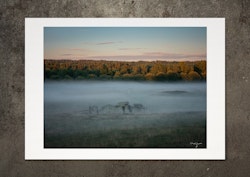 Niflhel, fotoprint