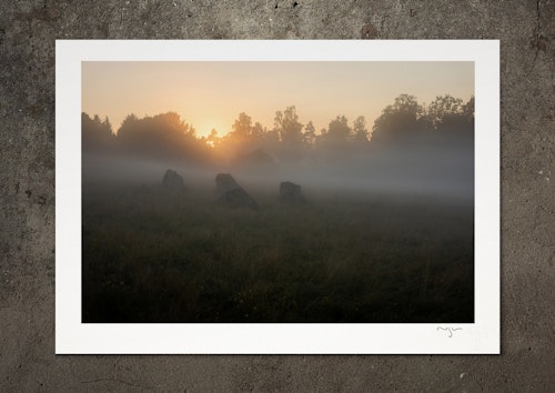 Dömd att födas, dömd att dö, fotoprint