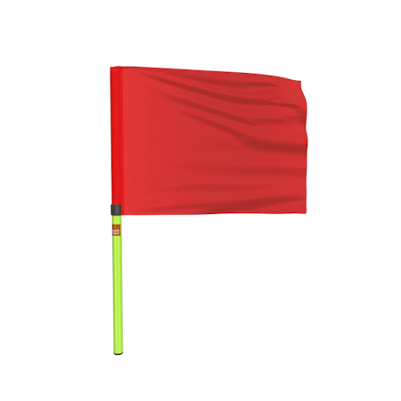 Domarflaggor