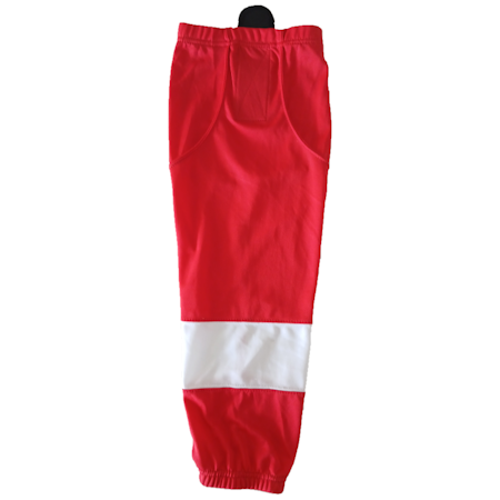 MTL Edge damasker NHL DETROIT RED WINGS