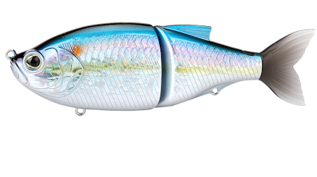 Glidbeast 16cm Biwaa