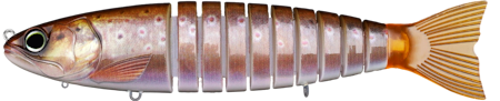 Strout 23 cm Sinking Biwaa