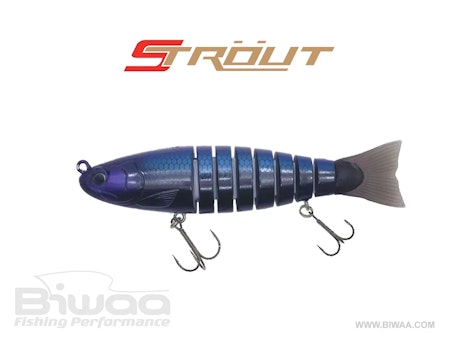 Strout 16 cm Sinking Biwaa