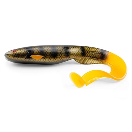 Gator Catfish 25cm