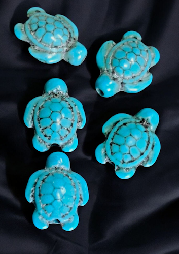Turkosa howlite sköldpaddor 5-pack
