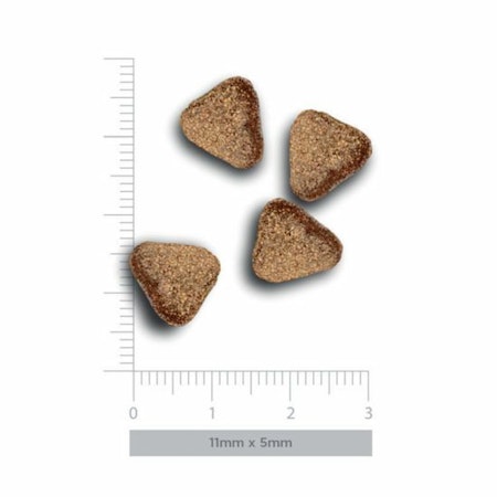Amanova Adult Digestive Mini Rabbit&Pumpkin